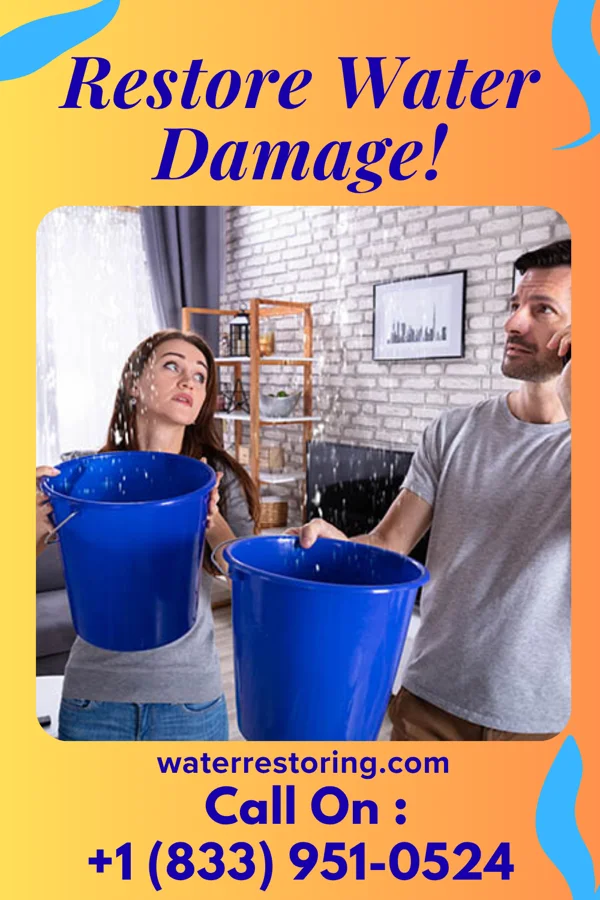 water restoration Platinum Water Solutions & Associates Laurel